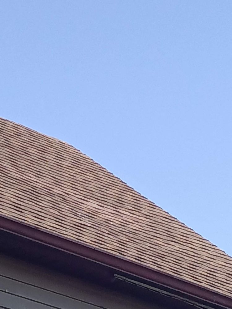 image of business Bird and Bean Construction