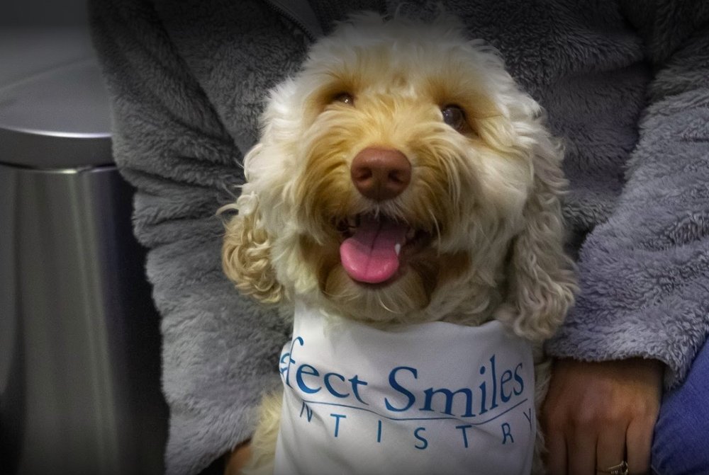 image of business Perfect Smiles