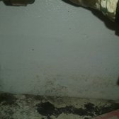Arbour Park Apartments 15 Photos 1901 E Apache Blvd Photo Of Arbour Park Apartments Tempe Az United States Mold In My