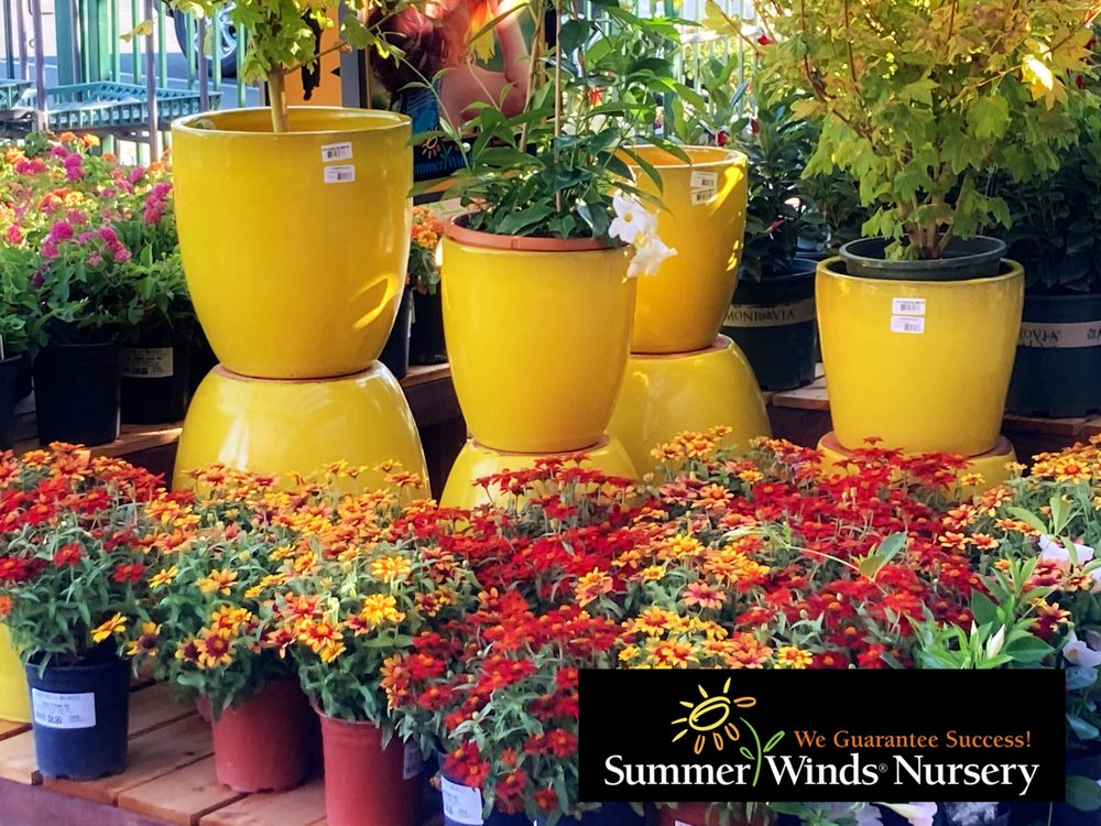 SummerWinds Nursery - Novato