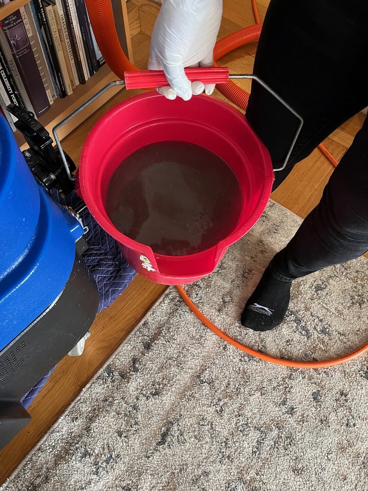 Dalia’s Cleaning Services