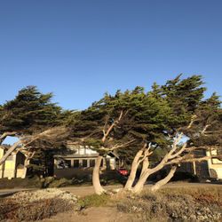 Cambria 130 Photos 29 Reviews Local Flavor Ca Yelp Photo Of Cambria Ca United States