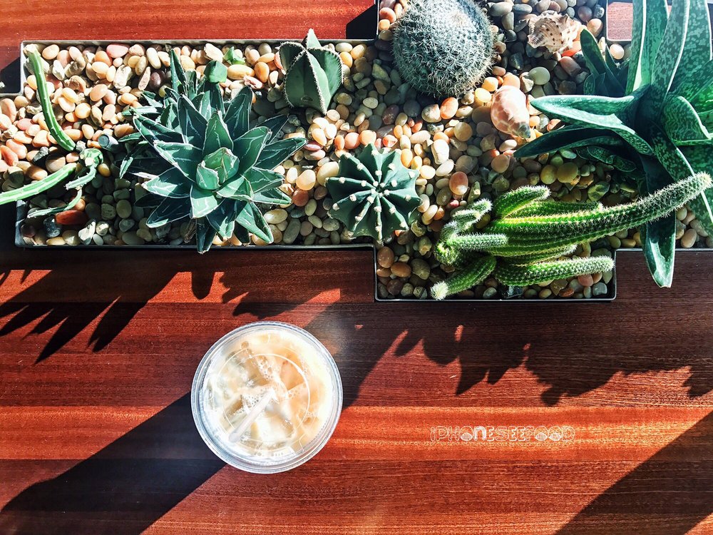 A cup of coffee next to a center planter at Bird Rock Coffee Roasters
