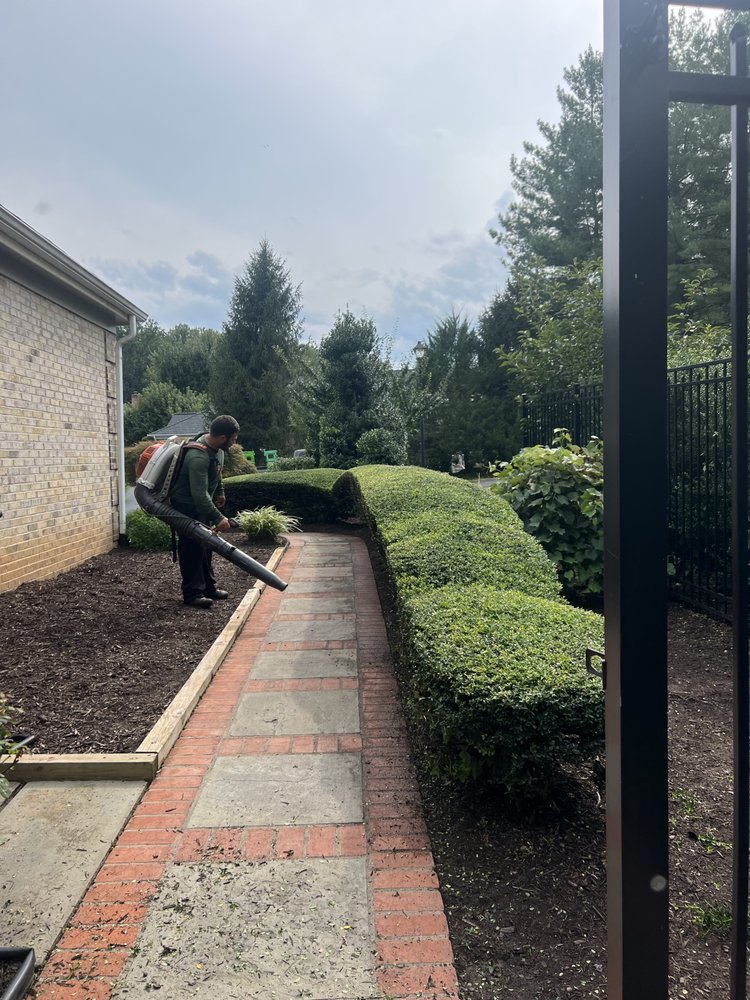 All About Landscaping
