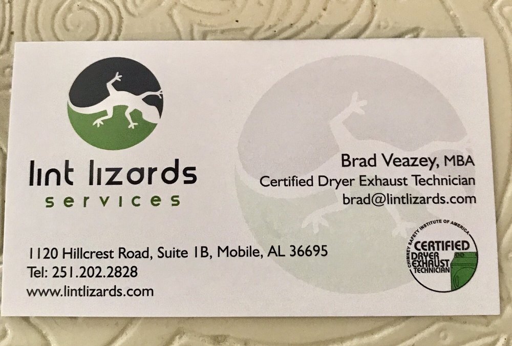 Lint Lizards Services