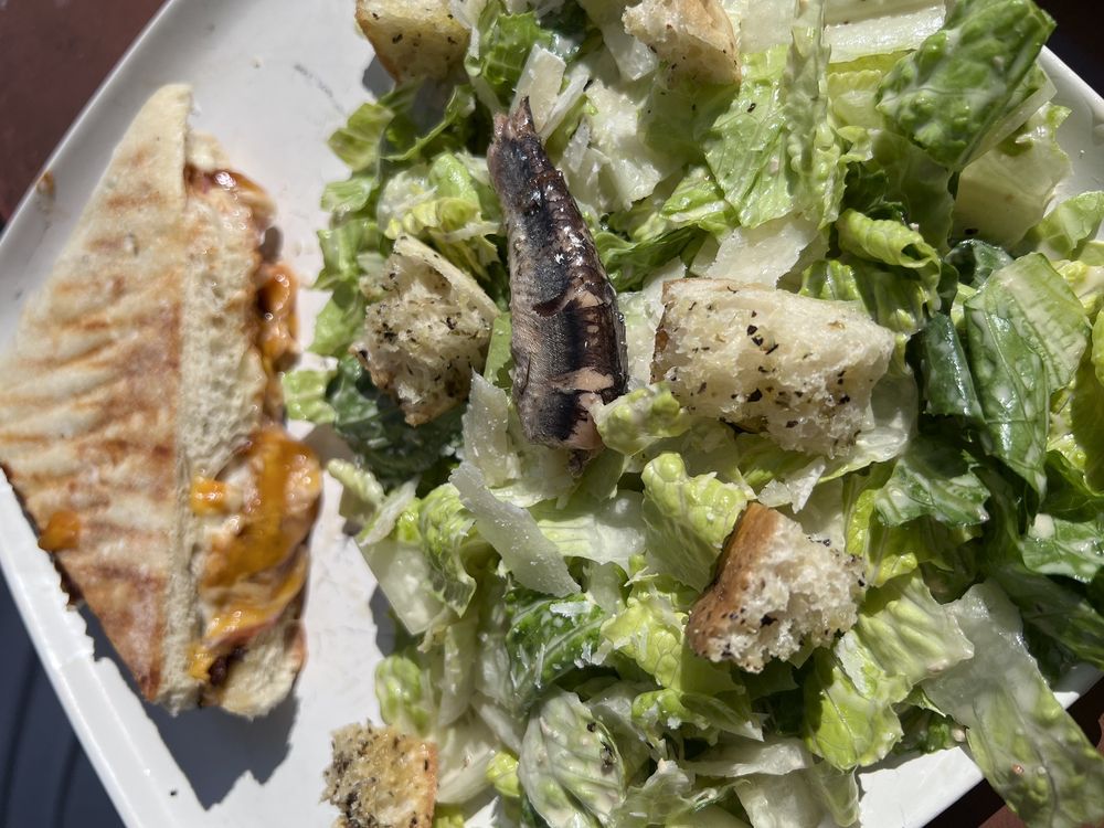 Oak Deli Brewery Oak Deli Brewery