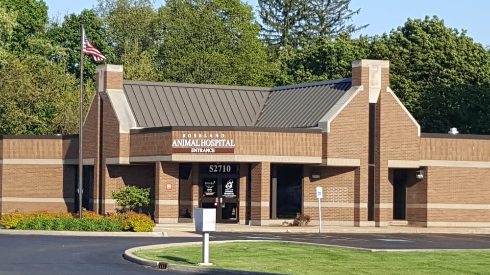 Roseland Animal Hospital 17 Photos Veterinarians 52710 Indiana