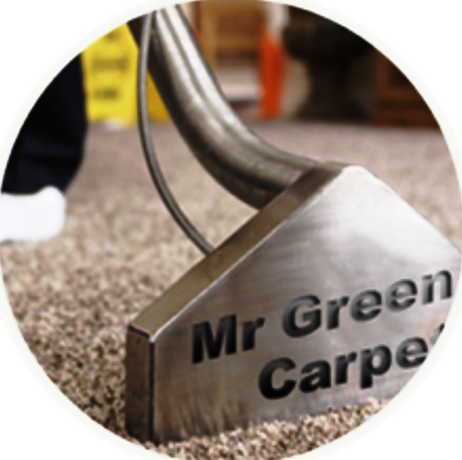 Mr. Green Carpet Care Lawyer