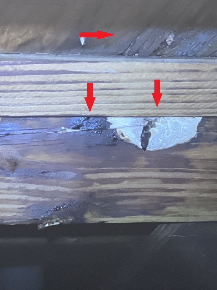 Orgova Home Inspections