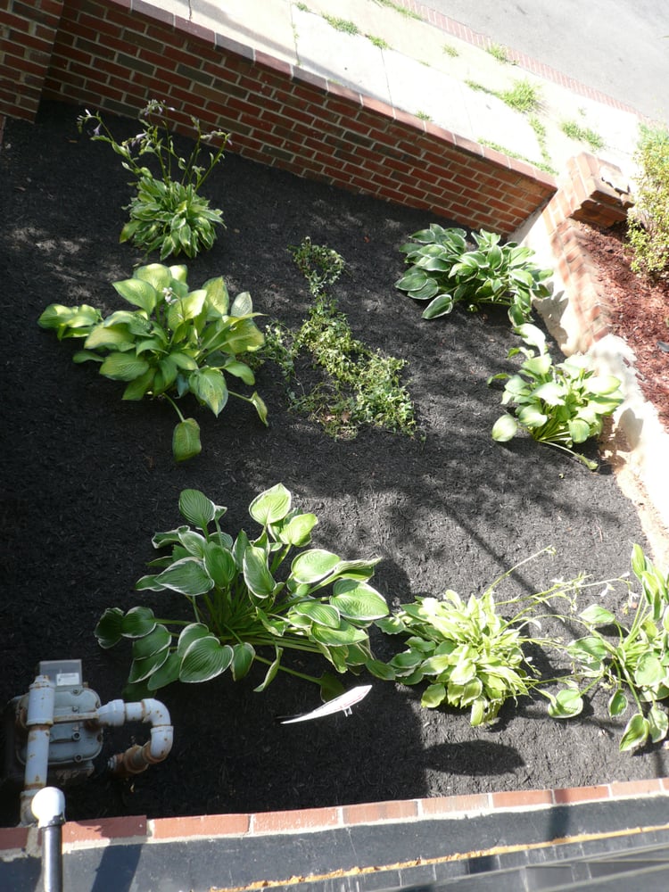Genesys Lawn and Garden