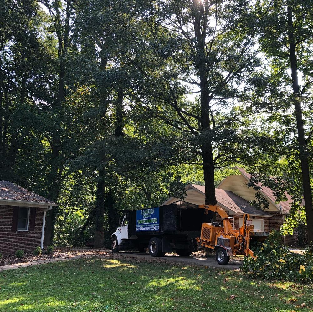 Cassello Tree Service