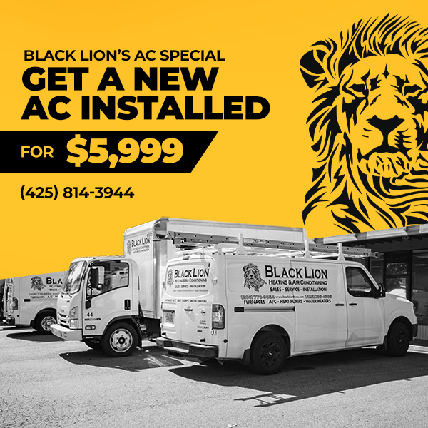 image of business Black Lion Heating & Air Conditioning