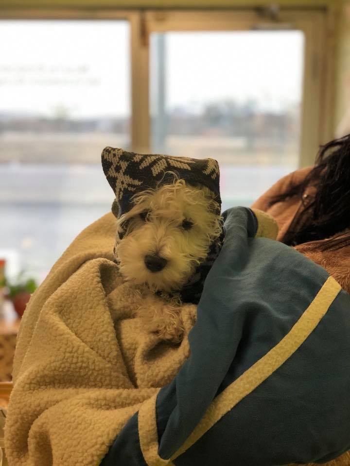 North Concho Veterinary Clinic