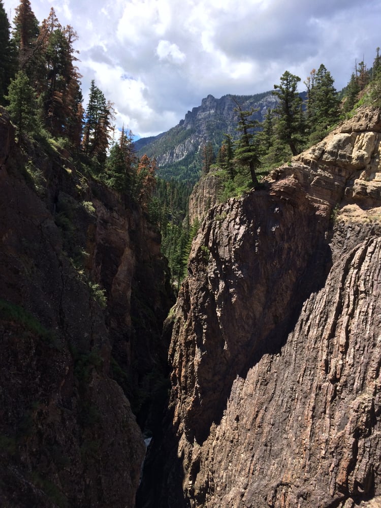 image of business Yost Family Dentistry