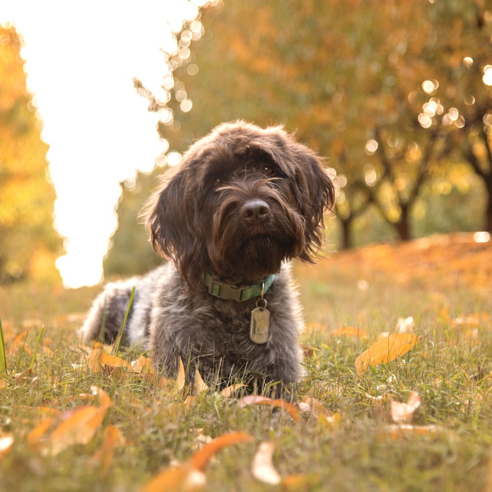 Reflections by Rhiannon