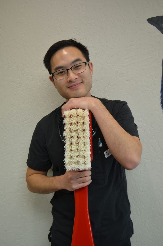 image of business General Dentistry For Kids