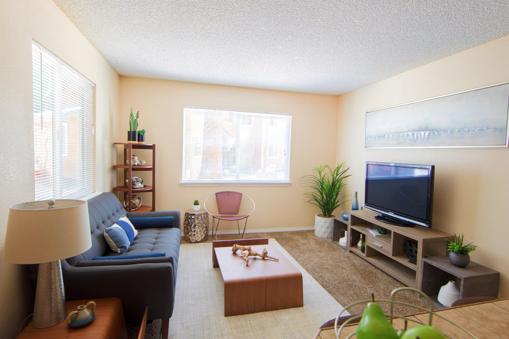 Evergreen Rock Maple