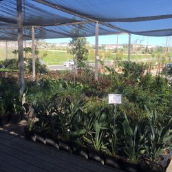 Loma Vista Nursery 2 Closed Nurseries Gardening 18272 Photo Of Loma Vista Nursery 2 Yorba Linda Ca United States Going
