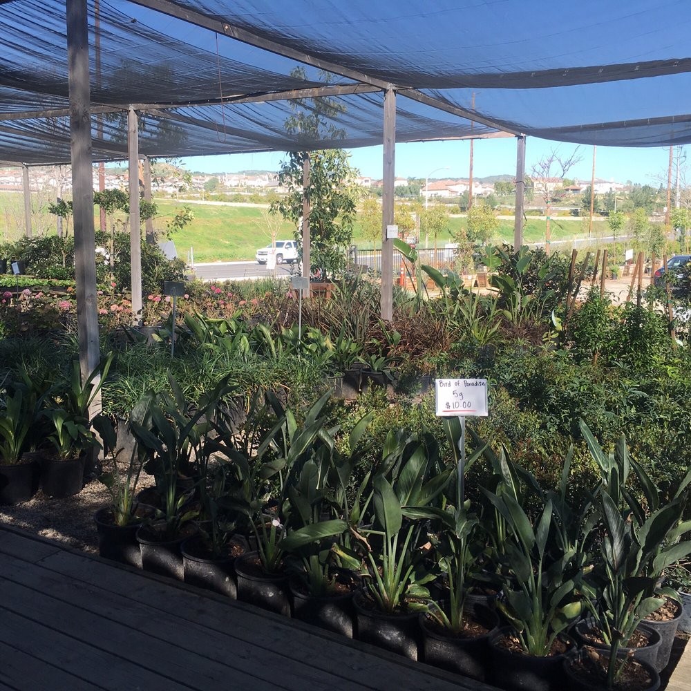 Loma Vista Nursery 2 CLOSED Nurseries & Gardening 18272