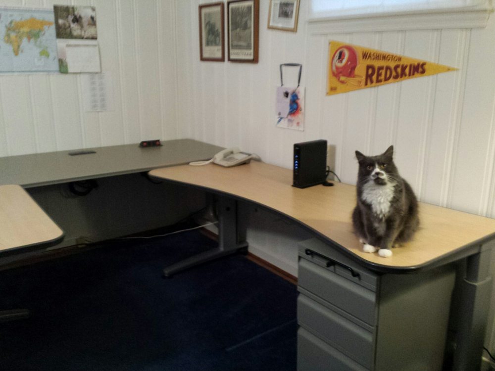 Gerstel Office Furniture