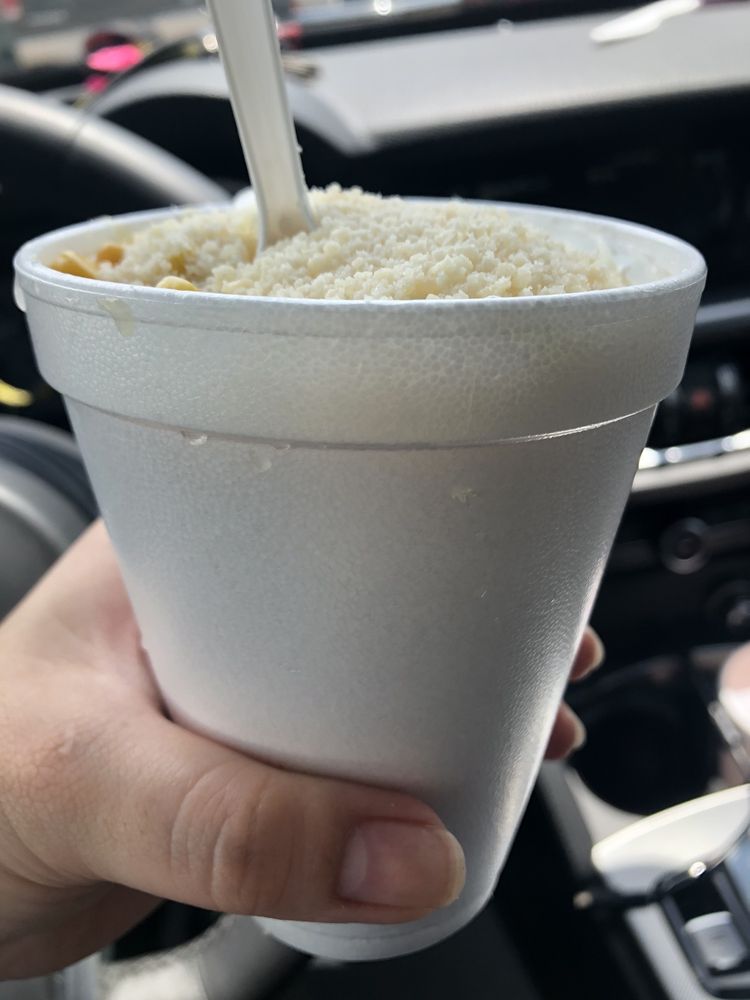 Elotes Junior