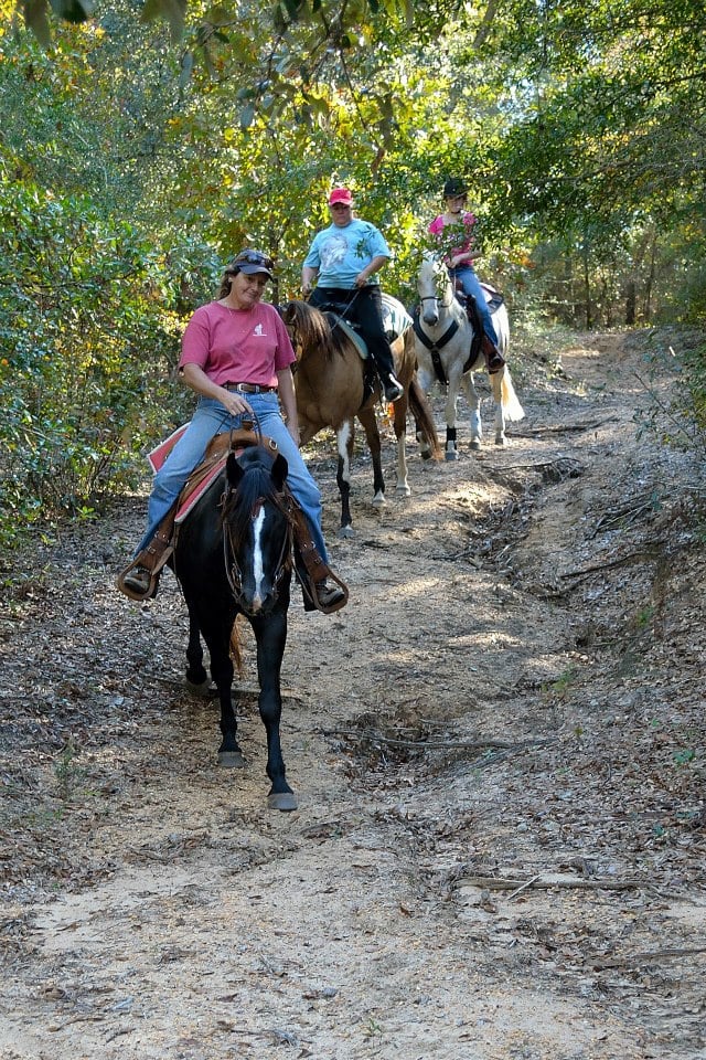 Iron Horse Stables Horseback Riding 11 W Eden Ln, Cantonment, FL