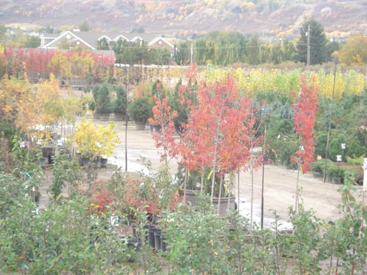 Valley Nursery Inc 6484 S 2000 E Ogden Ut Garden Centers Mapquest