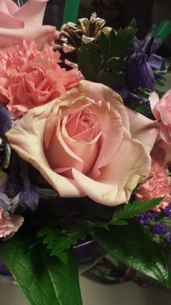 Frederick Florist 14 Photos Florists 1816 Rosemont Ave, Frederick