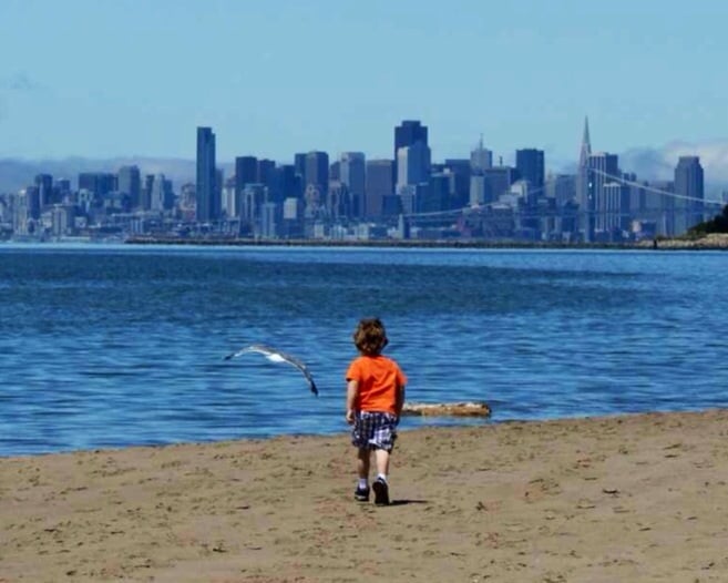 View Of San Francisco From Crown Beach In Alameda Ca Yelp Photo Of City Alameda Ca United States View San