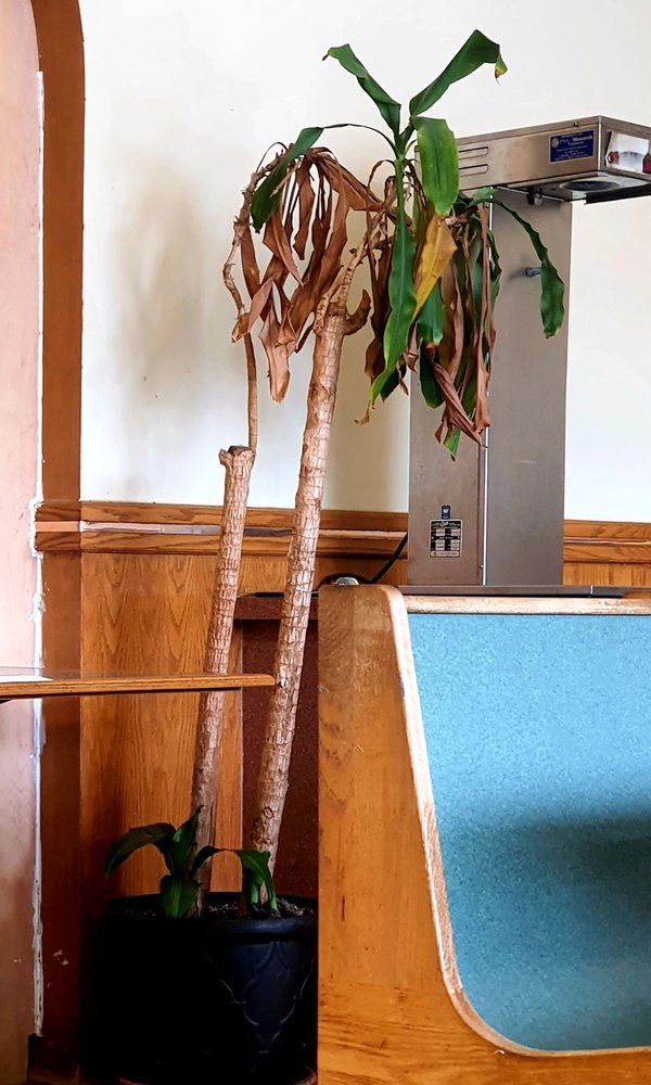 Mandarin Chinese Restaurant