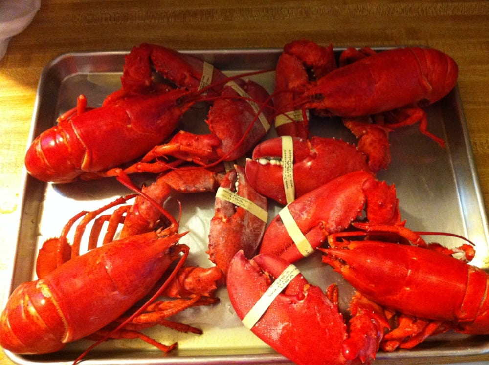 Boothbay Harbor Lobster Direct CLOSED 10 Reviews Seafood Markets 1839 Hillview St