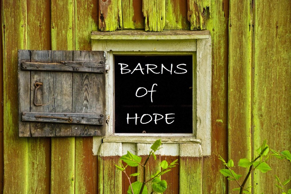 image of business Prism Builds