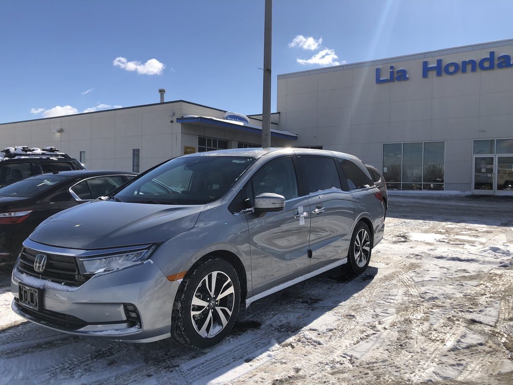 Lia Honda Williamsville
