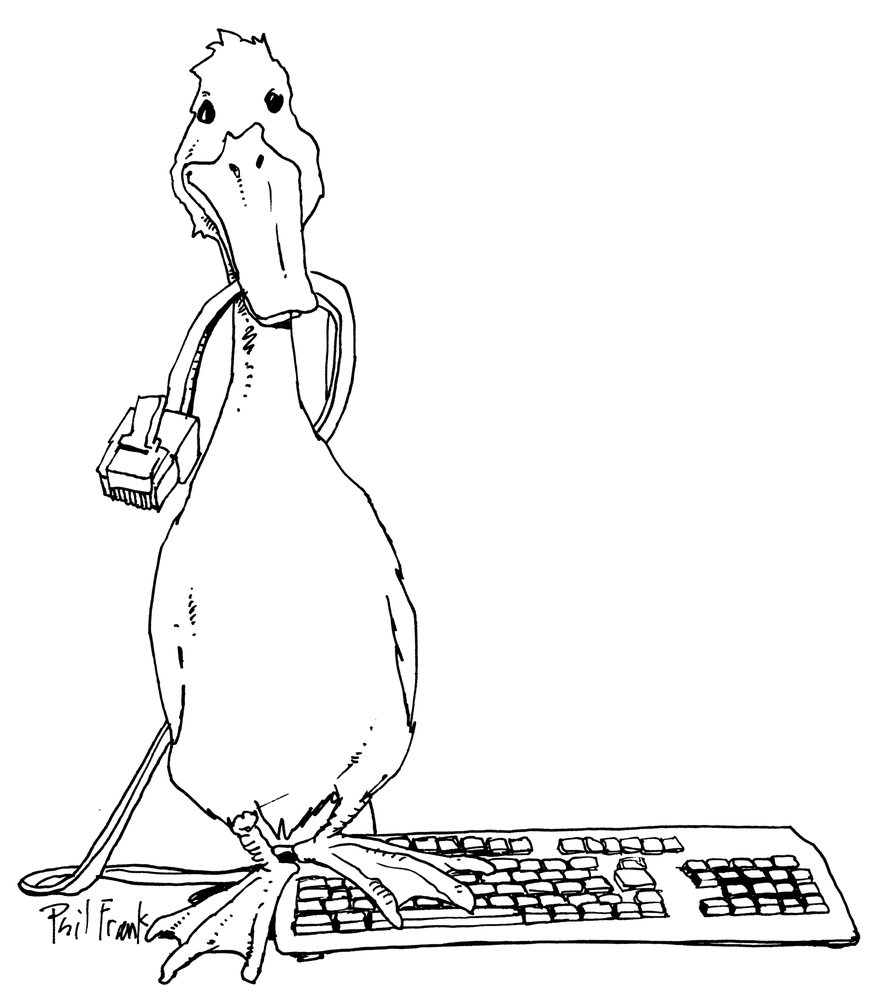 Creative Goose