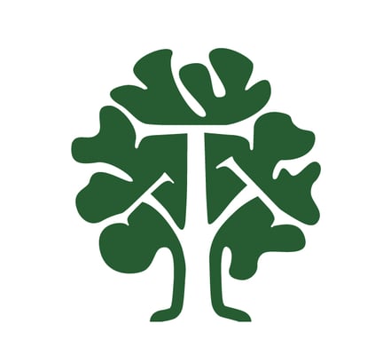 Taatjes Financial Group