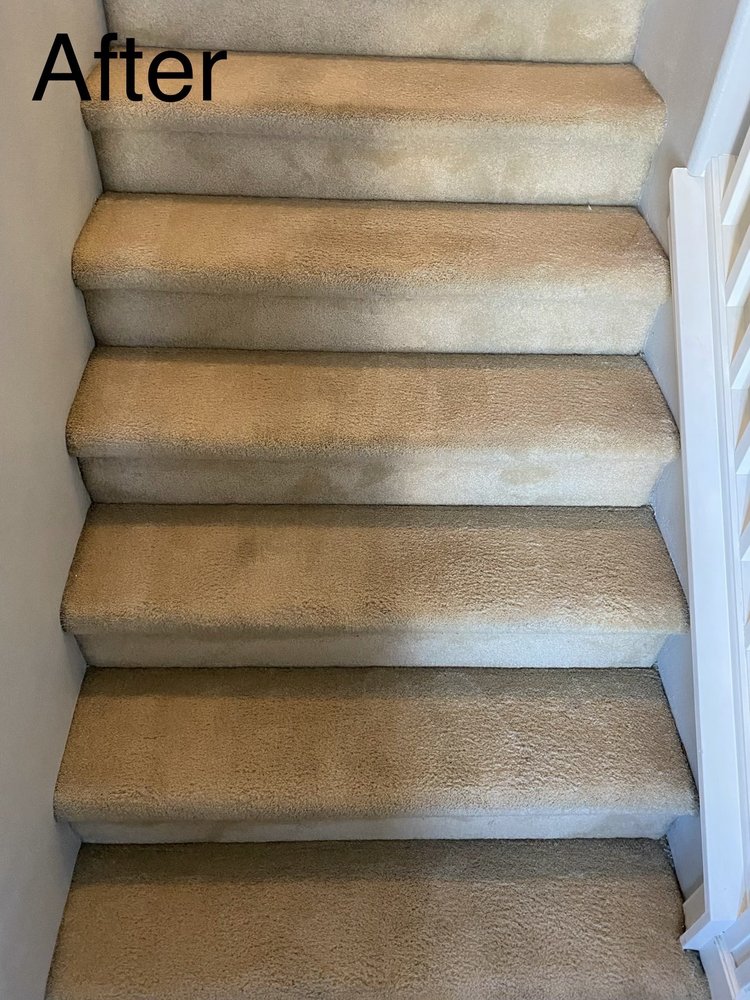 Admirable Carpet Cleaning