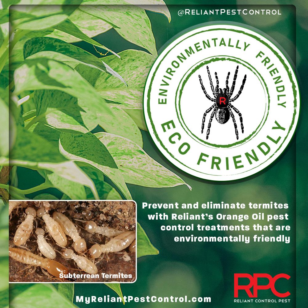Reliant Pest Control