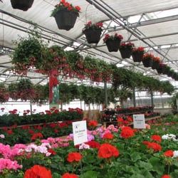 Home Grown Gardens Nursery Nurseries Gardening 4845 Se 3rd Photo Of Home Grown Gardens Nursery Corvallis Or United States We Specialize