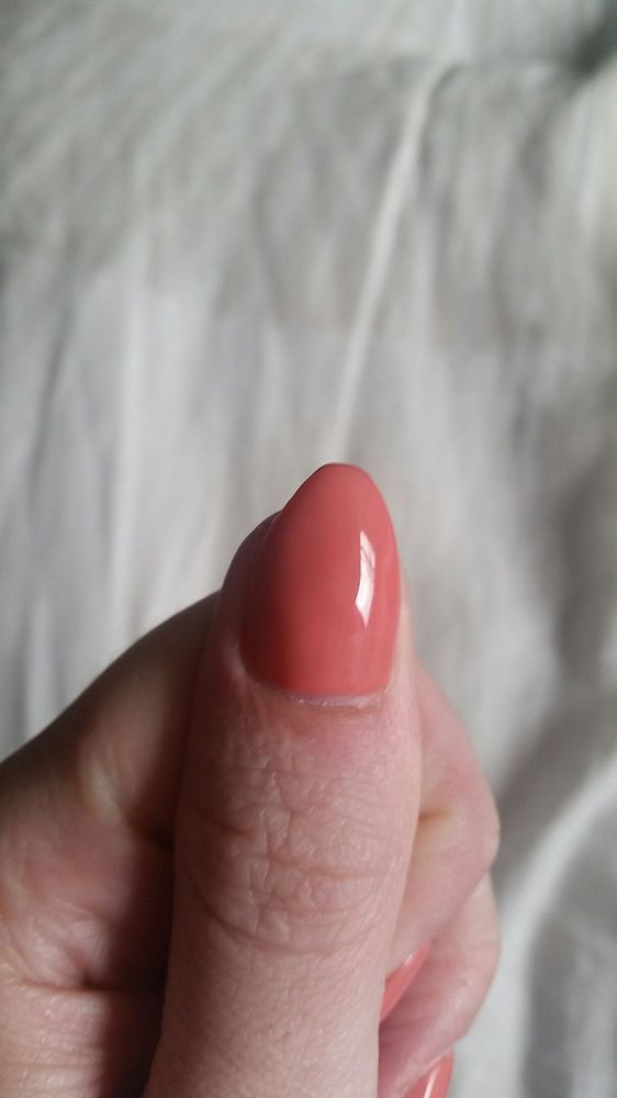 River Nails Spa 55 Photos 68 Reviews Nail Salons 19865