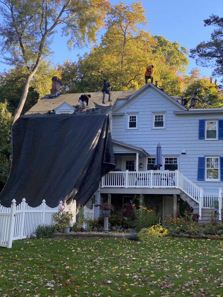 Roof Shark