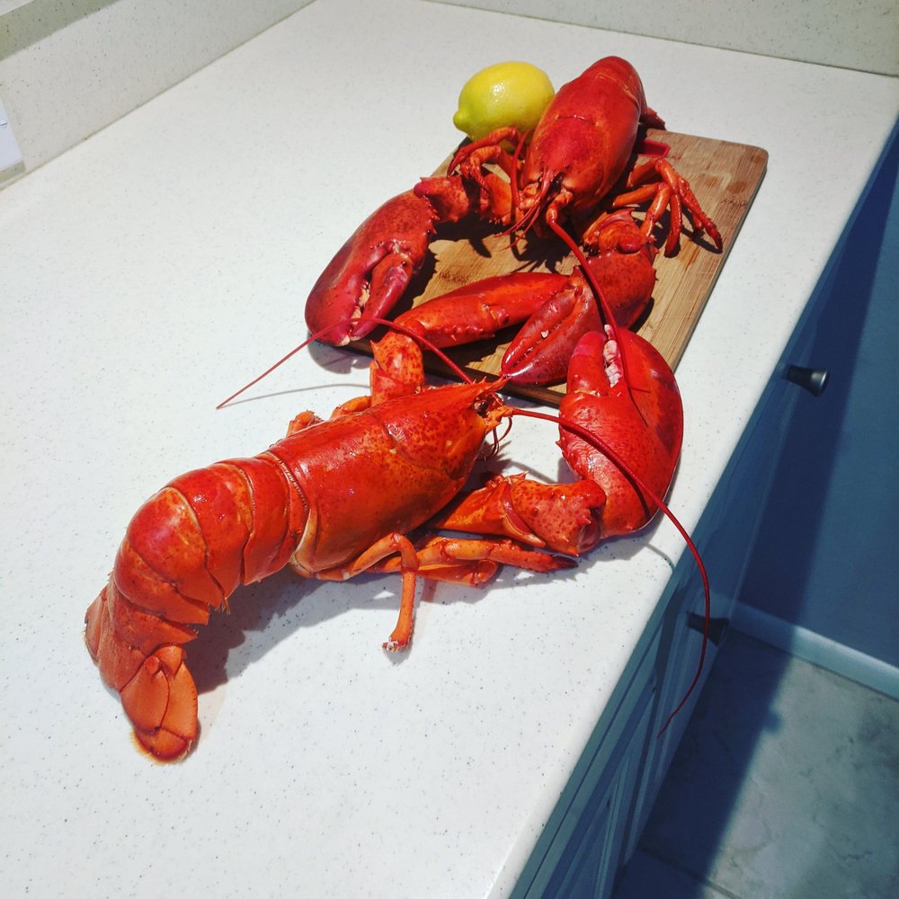 Lotsa Lobster