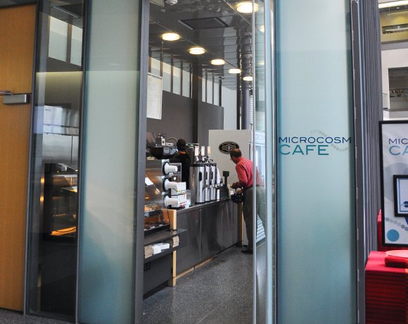 Microcosm Cafe