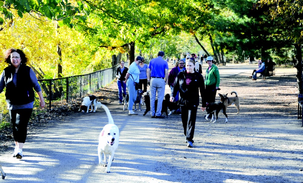 Shirlington Dog Park