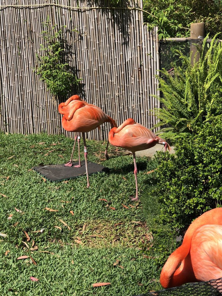 Meineke Car Care Center