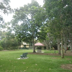 Pest control in Lutwyche