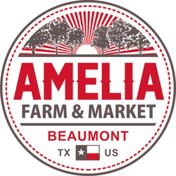 Vegan Restaurants Beaumont Ca Vegan Restaurants Beaumont Ca