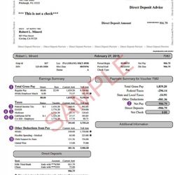 checkstub