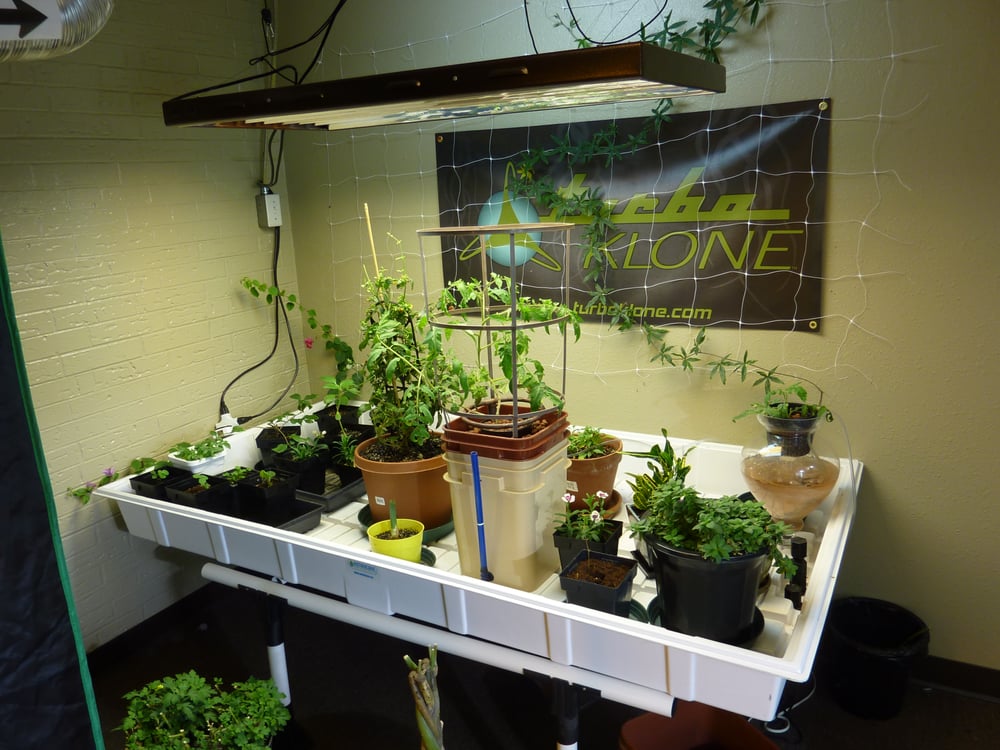 DFW Hydroponics