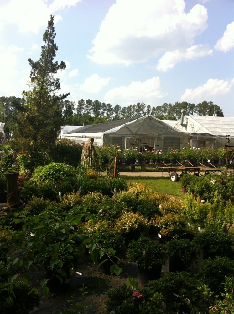 Plant & See Nursery Nurseries & Gardening 4064 Old Tar Rd