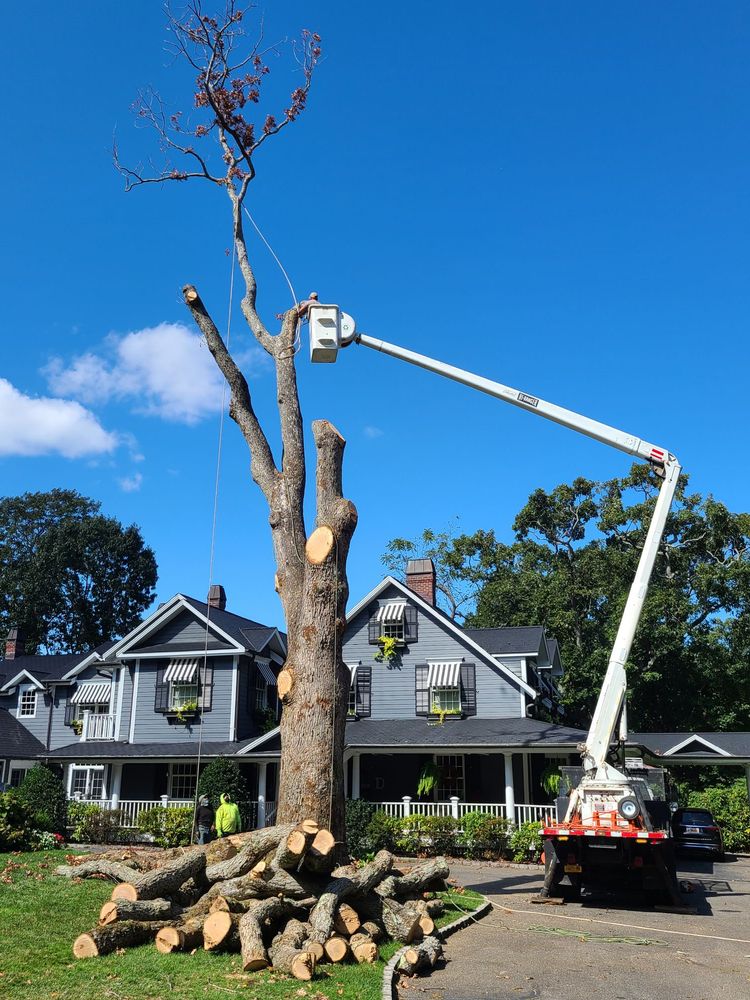 Cutting Edge Tree and Landscaping